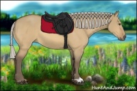 Horse Color:Silver Buckskin Dun 