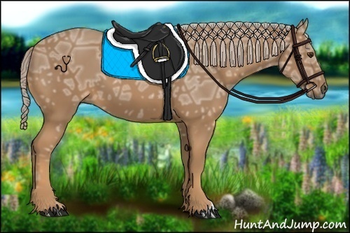 Horse Color:Palomino Ice 