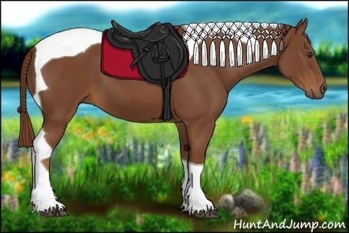 Horse Color:Chestnut Tobiano