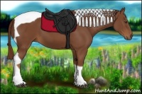 Horse Color:Chestnut Tobiano