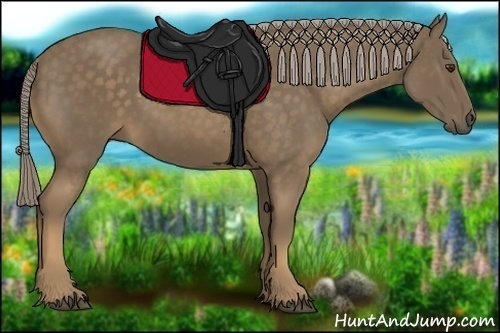 Horse Color:Chocolate Palomino 