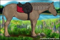 Horse Color:Chocolate Palomino 