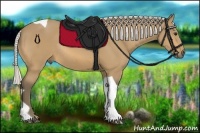 Horse Color:Silver Buckskin Tobiano Rabicano