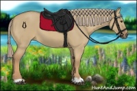 Horse Color:Palomino Dun 