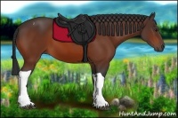 Horse Color:Bay Tobiano 