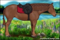 Horse Color:Chestnut Sabino