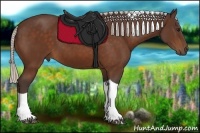 Horse Color:Silver Bay Tobiano 