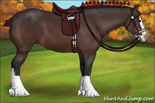 Horse Color:Bay Sabino Splash 