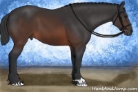 Horse Color:Brown 