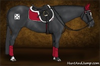 Horse Color:Black Sabino Rabicano