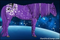 Horse Color:Watercolor Black Appaloosa 
