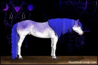 Horse Color:Watercolor White Spotted Bay Sabino