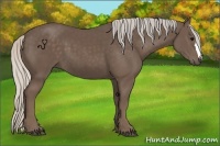 Horse Color:Silver Black 