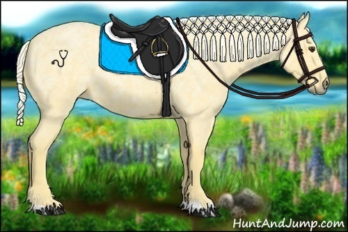 Horse Color:Palomino Ice Roan 