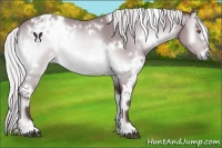 Horse Color:White Spotted Chocolate Silver Brown Chinchilla Onyx 