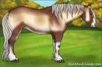 Horse Color:Silver Bay Onyx 