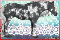 Horse Color:White Spotted Silver Black Chinchilla 