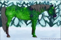 Horse Color:ERROR: UNKNOWN ANOMALY