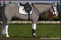 Horse Color:Grullo Splash 