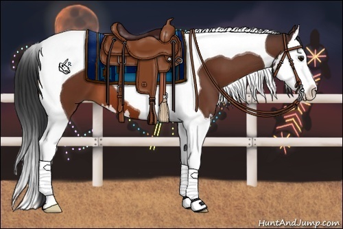 Horse Color:Bay Splash Tobiano