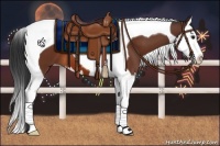 Horse Color:Bay Splash Tobiano
