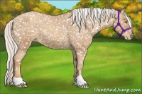 Horse Color:Silver Classic Champagne Snowflake Varnish