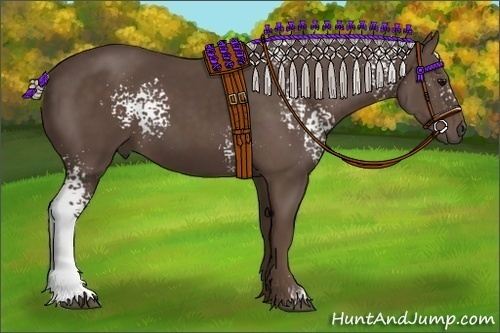 Horse Color:White Spotted Silver Black 