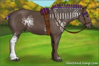 Horse Color:White Spotted Silver Black