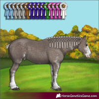Horse Color:White Spotted Silver Black 