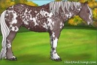 Horse Color:White Spotted Chocolate Silver Black Chinchilla