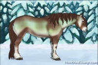 Horse Color:Red Onyx 