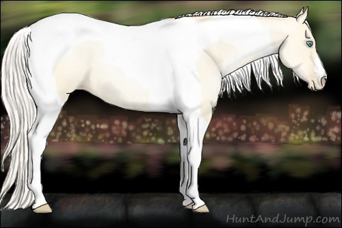 Horse Color:Silver Amber Cream Champagne Pearl Dun Tobiano 
