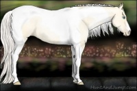 Horse Color:Silver Amber Cream Champagne Pearl Dun Tobiano 