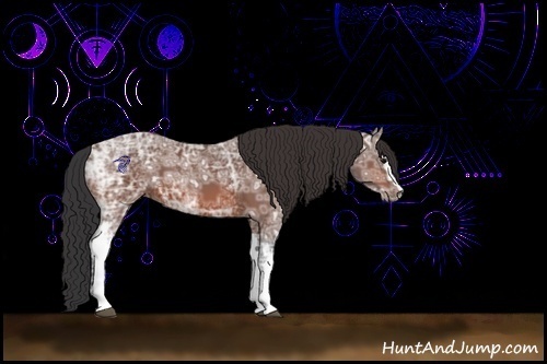 Horse Color:White Spotted Bay Ice 