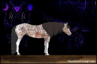 Horse Color:White Spotted Bay Ice