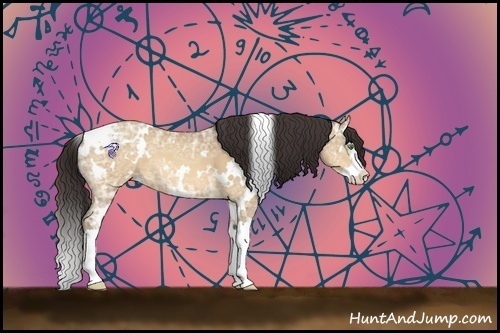 Horse Color:White Spotted Amber Champagne Ice Splash