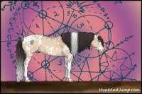 Horse Color:White Spotted Amber Champagne Ice Splash 