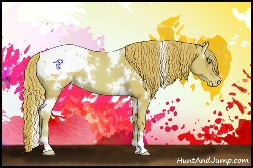 Horse Color:Watercolor White Spotted Gold Champagne Appaloosa 