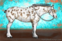 Horse Color:Chocolate Palomino Sabino Appaloosa