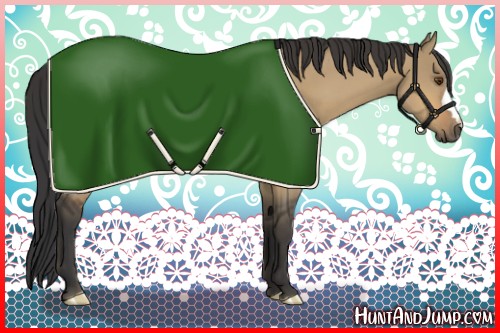 Horse Color:Buckskin Dun 