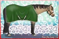 Horse Color:Buckskin Dun 