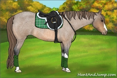 Horse Color:Buckskin Roan Varnish