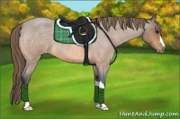 Horse Color:Buckskin Roan Varnish 