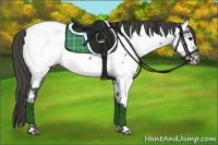 Horse Color:Grullo Appaloosa 