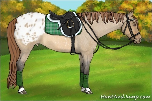 Horse Color:Buckskin Roan Dun Varnish