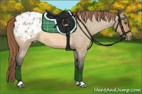 Horse Color:Buckskin Roan Dun Varnish 