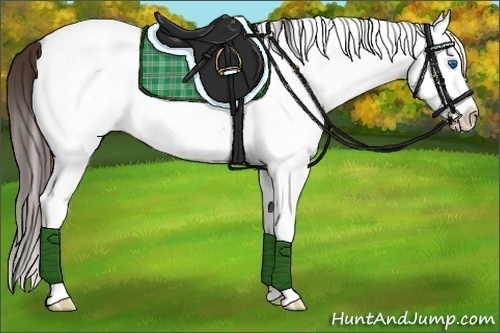 Horse Color:White Spotted Brown Dun Splash Appaloosa 