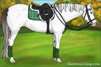 Horse Color:White Spotted Brown Dun Splash Appaloosa 