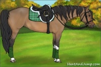 Horse Color:Brown Dun 