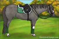 Horse Color:Grullo Appaloosa 